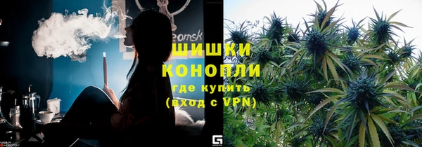 ПСИЛОЦИБИНОВЫЕ ГРИБЫ Балахна