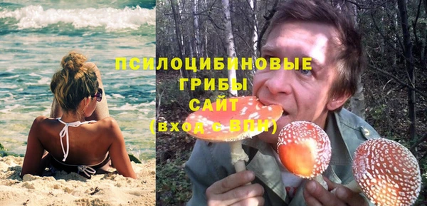 ПСИЛОЦИБИНОВЫЕ ГРИБЫ Балахна